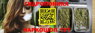 хмурый Чебоксары