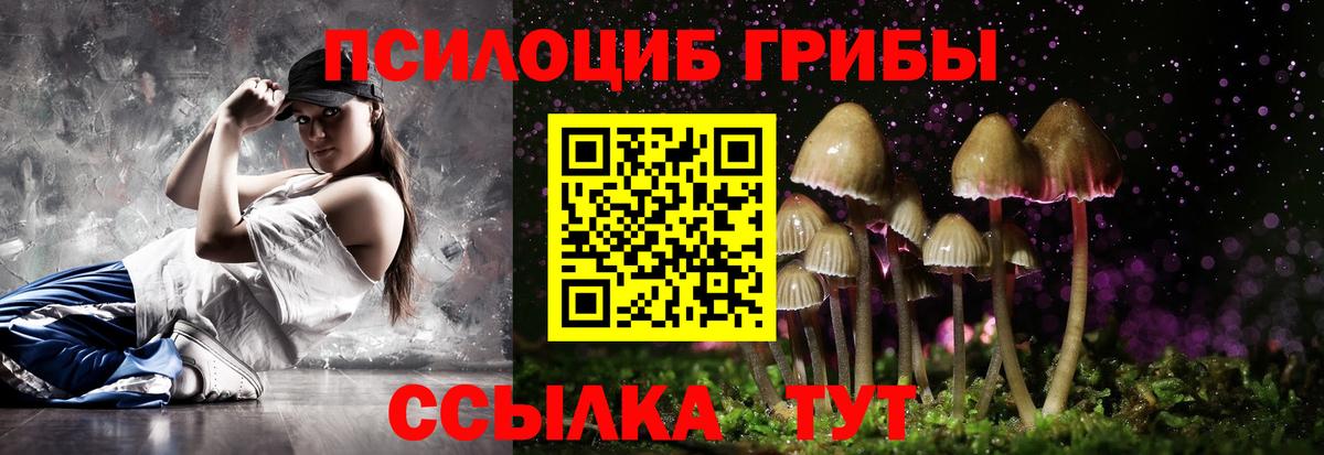Галлюциногенные грибы прущие грибы Иркутск